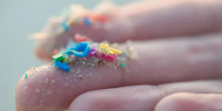 Pesquisadores da USP encontram microplásticos nos cérebros de oito pessoas
