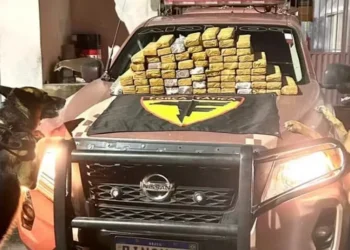 Cães farejadores encontraram cerca de 70 kg de maconha escondidos em malas. — Foto: PM/ Divulgação