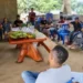 Prefeitura de Palmas cadastra 30 pequenos agricultores de Taquari para oferecer serviços de gradagem e orientação técnica