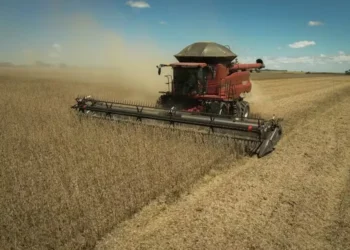 Clima gerou dificuldades para o avanço da colheita da soja — Foto: Wenderson Araújo/CNA