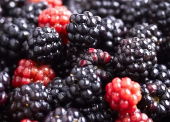 A amora é uma fruta rica em polifenóis com propriedades anti-inflamatórias e antioxidantes • kinemero/GettyImages