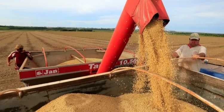 Governo confirma suspensão de embarques de soja de 5 empresas à China