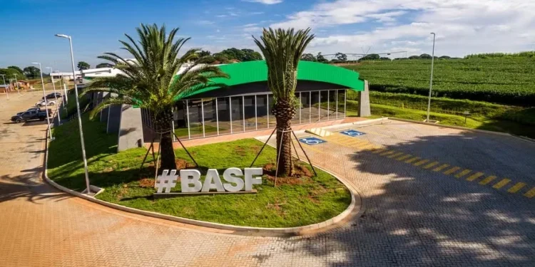 O fundo da Basf é o maior gerido pela Opea — Foto: Basf/Divulgação
