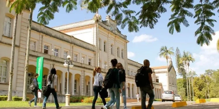 Resultado Fuvest 2025: confira a lista de aprovados no vestibular da USP