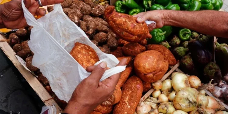 Preços da cebola, cenoura e tomate sobem no atacado em dezembro, diz Conab