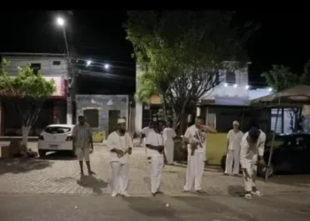 Árvore sagrada que foi arrancada de terreiro na Bahia • Reprodução