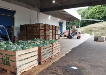 A Grano é a maior empresa de alimentos congelados do Brasil — Foto: Marcelo Beledeli/Globo Rural