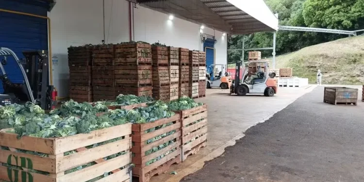 Grano Alimentos recebe crédito de R$ 24,4 milhões do BNDES