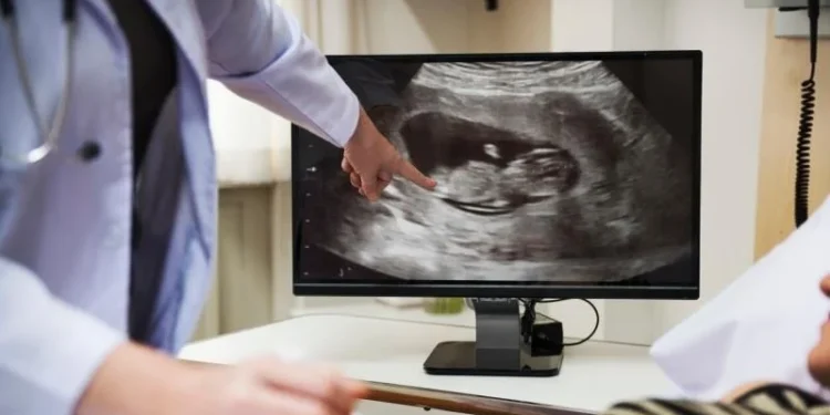 Saúde abre 240 vagas de ultrassonografia transvaginal para gestantes e zera fila de espera