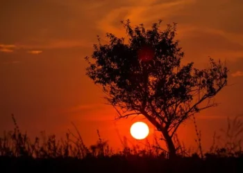 Calor segue forte no verão brasileiro com temperaturas acima de 40ºC — Foto: Getty Images/Canva