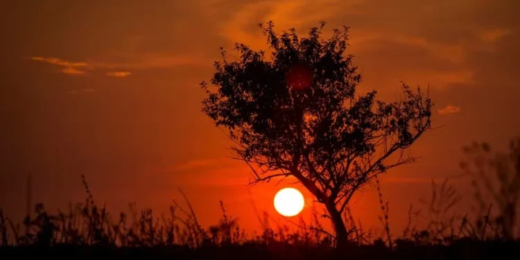 Acima dos 40ºC: quais cidades registraram as maiores temperaturas em 2025?