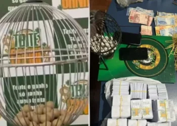 Jogos de azar ilegais funcionavam desde 2023 em Formoso do Araguaia — Foto: DICOM SSP TO