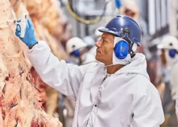 Unidade de produção de carnes da Minerva • Salic/Divulgação