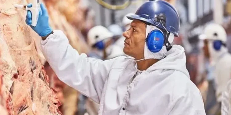 Produção de carnes supera 31,5 mi de toneladas e bate recorde, diz Conab