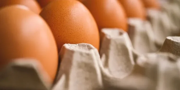 A compra de uma fatia na Mantiqueira marca a entrada da JBS no setor de ovos — Foto: Erika Varga/Pixabay