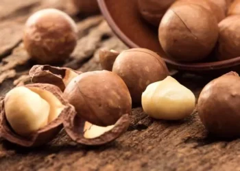 Fruto seco de macadâmia foi um dos produtos liberados, junto com farelo de mandioca e fibra de coco — Foto: Getty Images