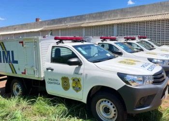 Restos mortais foram encontrados no ano de 2023 em Paraíso do Tocantins - Divulgação SSP/TO