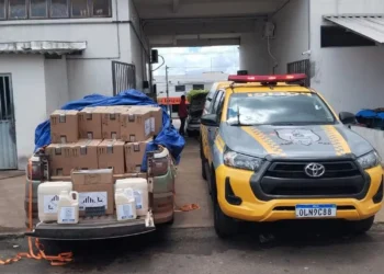 Galões de agrotóxicos são apreendidos na TO-070, em Dueré — Foto: Divulgação/Ascom BPMRED