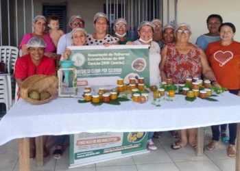 Mulheres extrativistas de Araguacema participam de oficina de geleias com frutos do Cerrado
