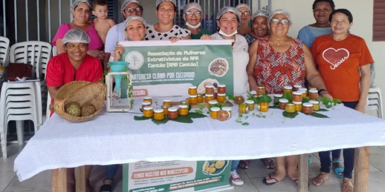 Mulheres extrativistas de Araguacema participam de oficina de geleias com frutos do Cerrado