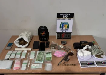 Material apreendido f