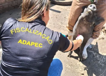 O monitoramento será realizado em 85 propriedades de 55 municípios do Estado