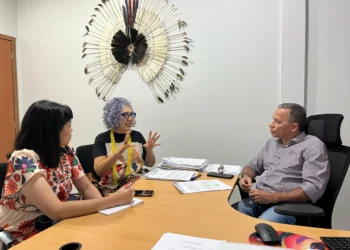 A pesquisa é fruto de uma parceria entre a Secult e a UFT e dará origem a um dossiê sobre essas manifestações da cultura popular local