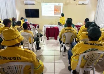 Evento reúne os brigadistas florestais que atuam nas Unidades de Conservação (UCs) estaduais - Foto: Andréa Marques/Governo do Tocantins