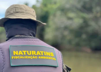 Naturatins reforçou as ações de fiscalização ambiental no Tocantins - Foto: Naturatins/Governo do Tocantins