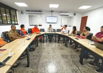 Encontro reuniu representantes da Semarh, Corpo de Bombeiros e Defesa Civil - Foto: Andréa Marques/Governo do Tocantins