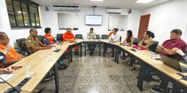 Governo do Tocantins define Plano Estratégico de Prevenção e Combate aos Incêndios Florestais