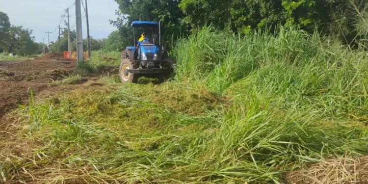 Prefeitura de Palmas amplia serviço de roçagem em mais de dez quadras nesta sexta-feira, 14