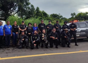 Equipes da PC-TO que participaram da operação Rosilene.