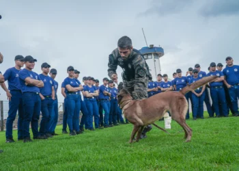 Cães experientes do NOC auxiliaram durante a instrução.
