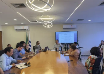 PROFE Indígena: Seduc discute minuta da Política Educacional Indígena