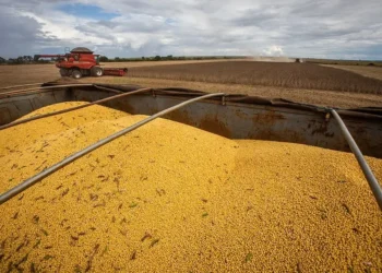 Entre os principais corredores logísticos do país, o Arco Norte é o mais barato para o envio de grãos à Europa — Foto: Wenderson Araujo/CNA