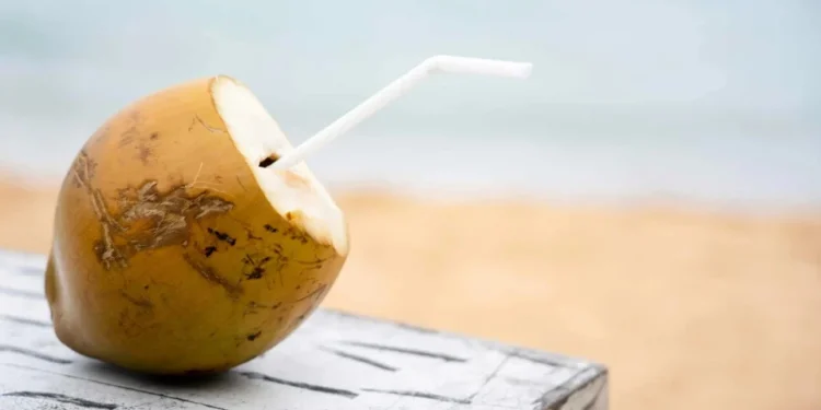 Benefícios da água de coco: além de isotônico natural, veja 6 propriedades