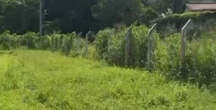 Miracema: Estádio Castanheirão em ruínas!