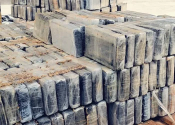 Cocaína foi apreendida em contêiner com carga de café no Porto de Santos • Polícia Federal