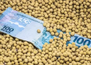 Programa tem por objetivo regularizar as dívidas de agricultores familiares e facilitar o acesso a crédito novo — Foto: Getty Images