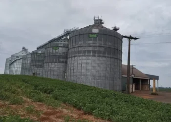 'É uma troca de ativos da Conab por recursos para ampliações” Edegar Pretto — Foto: Marcelo Beledeli / Globo Rural