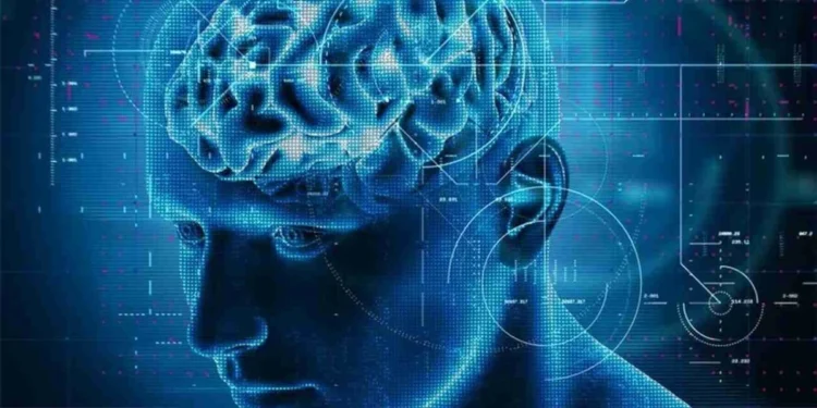 Ao empreender esse estudo, neurocientistas procuram entender como a base molecular do funcionamento das estruturas do córtex cerebral é fundamental para desvendar a evolução da cognição humana e ter uma compreensão mais profunda de como ela é prejudicada em doenças
crédito: Freepik