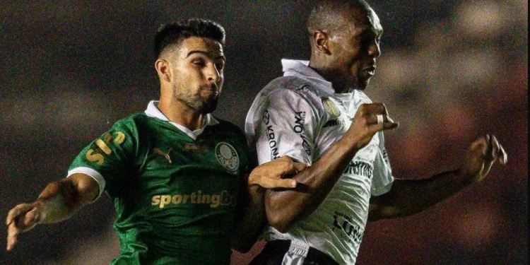 Palmeiras respira e São Paulo tropeça: veja resumo dos estaduais (13/2)