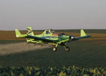Aviões representam 77% do total das aeronaves — Foto: Castor Becker Júnior/Divulgação