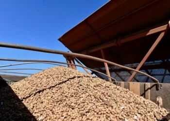 Representantes do setor calculavam que R$ 300 milhões deixariam de circular na cadeia por ano se o benefício não fosse renovado — Foto: Ruy Baron