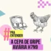 Nova cepa de gripe aviária H7N9: entenda o que é e os riscos