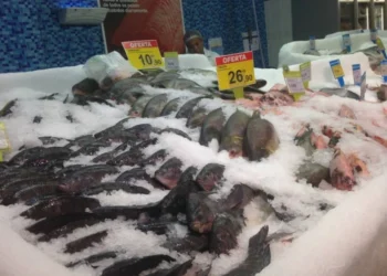 Periodicamente, a equipe técnica da Agência de Metrologia verifica balanças comerciais, inclusive nas feiras livres. Foto: Brenda Ramos/Governo do Tocantins