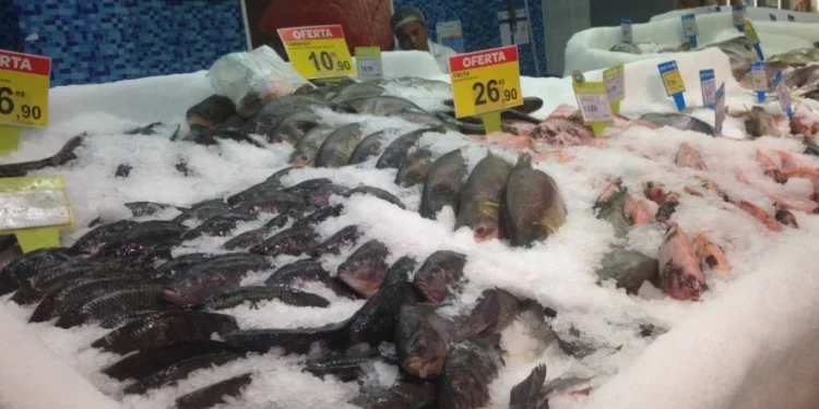 Periodicamente, a equipe técnica da Agência de Metrologia verifica balanças comerciais, inclusive nas feiras livres.
Foto: Brenda Ramos/Governo do Tocantins