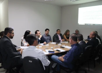 Encontro reuniu os membros do colegiado para discutir e deliberar sobre temas de interesse dos servidores da pasta - Adrielly Calixto / Governo do Tocantins