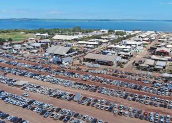 Agrotins movimentou mais de R$ 4,2 bilhões em negócios e recebeu mais de 232 mil visitantes de diversas regiões do país em 2024 Foto: Adilvan Nogueira/Governo do Tocantins